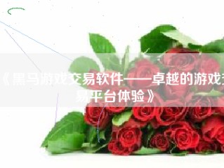 《黑马游戏交易软件——卓越的游戏交易平台体验》