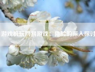 游戏机玩网易游戏：体验的深入探讨