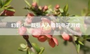 幻影：一款引人入胜的电子游戏