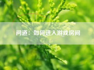 问道：如何进入游戏房间