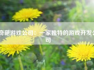 奇葩游戏公司：一家独特的游戏开发公司