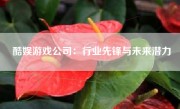 酷娱游戏公司：行业先锋与未来潜力