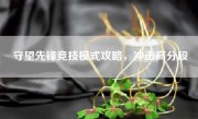 守望先锋竞技模式攻略，冲击高分段