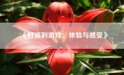 《打波利游戏：体验与感受》