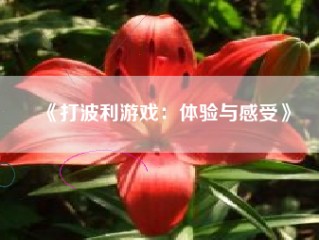 《打波利游戏：体验与感受》