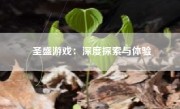 圣盛游戏：深度探索与体验