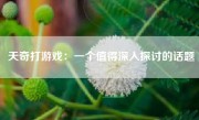 天奇打游戏：一个值得深入探讨的话题