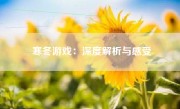 寒冬游戏：深度解析与感受