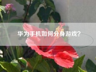 华为手机如何分身游戏？