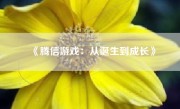 《腾信游戏：从诞生到成长》