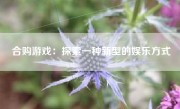 合购游戏：探索一种新型的娱乐方式