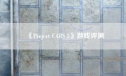 《Project CARS 3》游戏评测