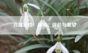 合盛游戏：体验、评价与展望