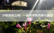 夕阳游戏公司：一路风华的历程与展望