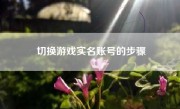 切换游戏实名账号的步骤