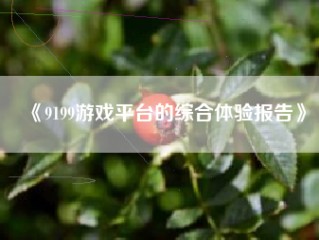 《9199游戏平台的综合体验报告》