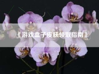 《游戏盒子皮肤领取指南》