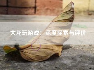 大龙玩游戏：深度探索与评价