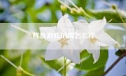 鱿鱼游戏拍得怎么样