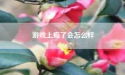 游戏上瘾了会怎么样