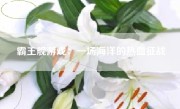霸王舰游戏：一场海洋的热血征战