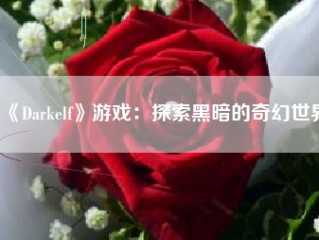 《Darkelf》游戏：探索黑暗的奇幻世界