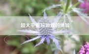 超大平板玩游戏的体验