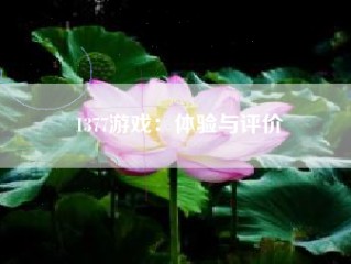 1377游戏：体验与评价