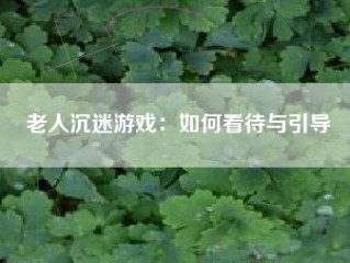 老人沉迷游戏：如何看待与引导