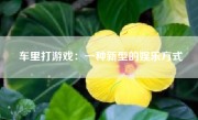 车里打游戏：一种新型的娱乐方式