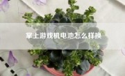 掌上游戏机电池怎么样换