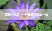 荣耀游戏膜：一种全新的游戏体验