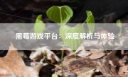 黑莓游戏平台：深度解析与体验