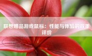 联想赠品游戏鼠标：性能与体验的双重评价