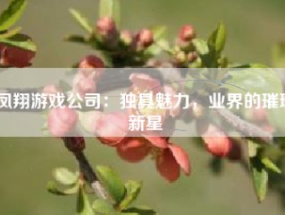 凤翔游戏公司：独具魅力，业界的璀璨新星