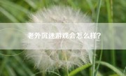 老外沉迷游戏会怎么样？