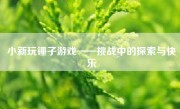 小新玩锤子游戏——挑战中的探索与快乐