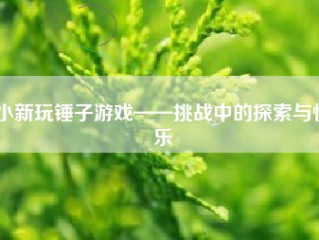 小新玩锤子游戏——挑战中的探索与快乐