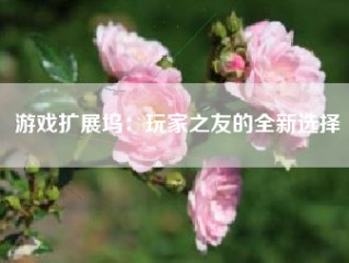 游戏扩展坞：玩家之友的全新选择