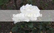 游戏花钱不给会怎么样