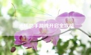 光环助手游戏开启全攻略