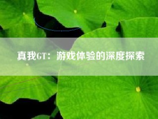 真我GT：游戏体验的深度探索