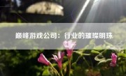 巅峰游戏公司：行业的璀璨明珠