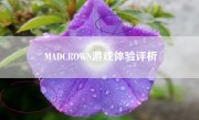 MADCROWN游戏体验评析