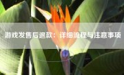 游戏发售后退款：详细流程与注意事项