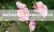 弹幕直播游戏：一种全新的互动娱乐体验