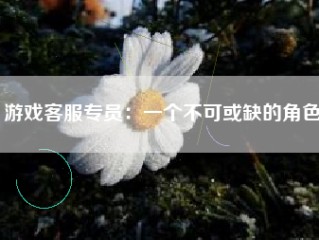 游戏客服专员：一个不可或缺的角色