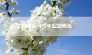 游戏公司今年业绩概览