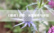 《棋魂》游戏：深度解析与体验