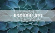 老号游戏直播：如何？